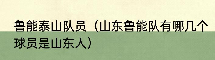 鲁能泰山队员（山东鲁能队有哪几个球员是山东人）