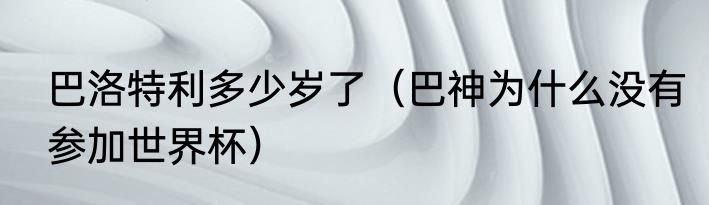 巴洛特利多少岁了（巴神为什么没有参加世界杯）