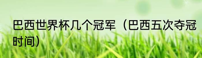 巴西世界杯几个冠军（巴西五次夺冠时间）