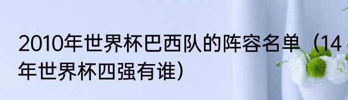 2010年世界杯巴西队的阵容名单（14年世界杯四强有谁）