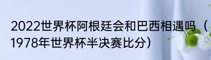 2022世界杯阿根廷会和巴西相遇吗（1978年世界杯半决赛比分）