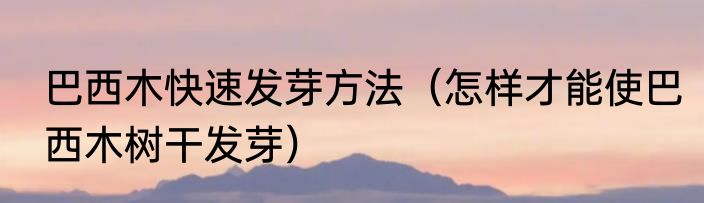 巴西木快速发芽方法（怎样才能使巴西木树干发芽）