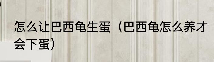 怎么让巴西龟生蛋（巴西龟怎么养才会下蛋）