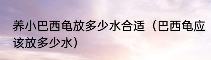 养小巴西龟放多少水合适（巴西龟应该放多少水）