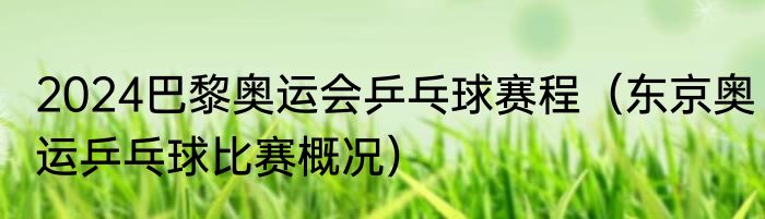 2024巴黎奥运会乒乓球赛程（东京奥运乒乓球比赛概况）