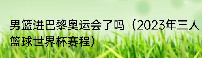 男篮进巴黎奥运会了吗（2023年三人篮球世界杯赛程）