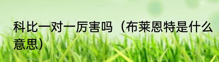 科比一对一厉害吗（布莱恩特是什么意思）