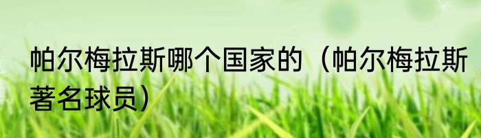 帕尔梅拉斯哪个国家的（帕尔梅拉斯著名球员）