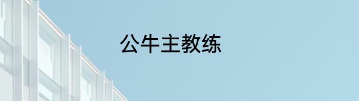 公牛主教练