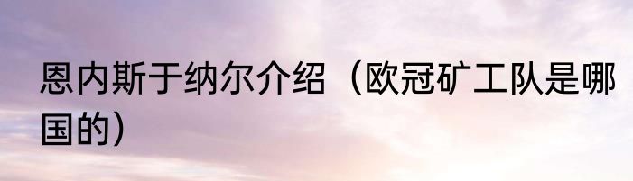 恩内斯于纳尔介绍（欧冠矿工队是哪国的）