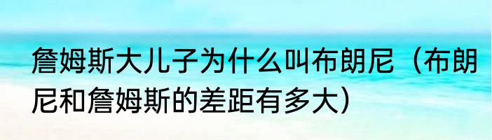 詹姆斯大儿子为什么叫布朗尼（布朗尼和詹姆斯的差距有多大）