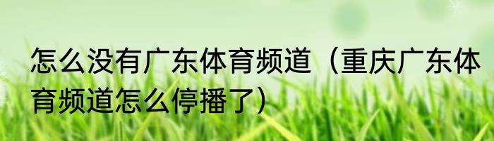 怎么没有广东体育频道（重庆广东体育频道怎么停播了）