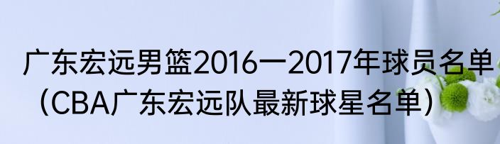广东宏远男篮2016一2017年球员名单（CBA广东宏远队最新球星名单）