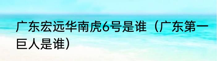广东宏远华南虎6号是谁（广东第一巨人是谁）