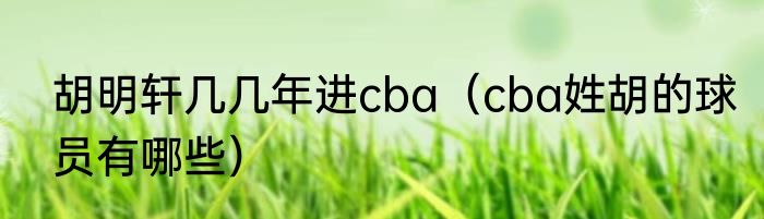 胡明轩几几年进cba（cba姓胡的球员有哪些）