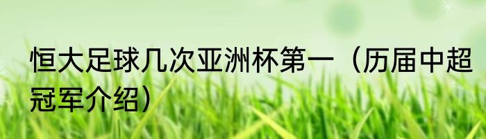 恒大足球几次亚洲杯第一（历届中超冠军介绍）