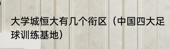 大学城恒大有几个衔区（中国四大足球训练基地）