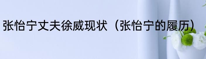 张怡宁丈夫徐威现状（张怡宁的履历）