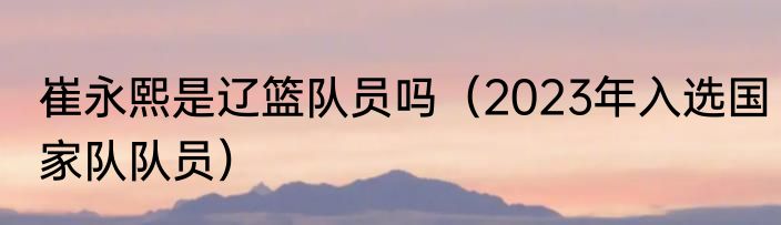 崔永熙是辽篮队员吗（2023年入选国家队队员）