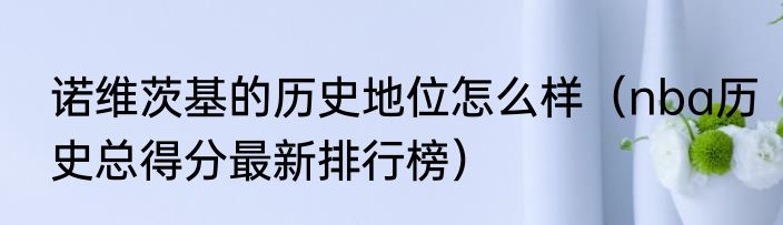 诺维茨基的历史地位怎么样（nba历史总得分最新排行榜）