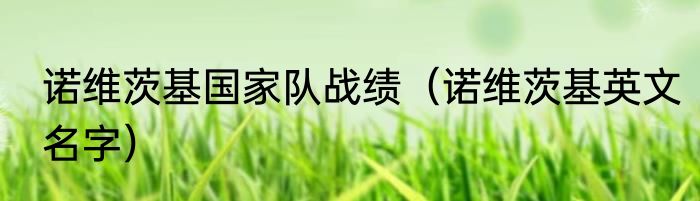 诺维茨基国家队战绩（诺维茨基英文名字）