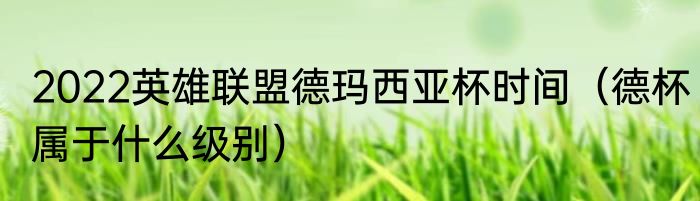 2022英雄联盟德玛西亚杯时间（德杯属于什么级别）