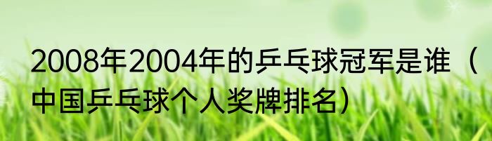 2008年2004年的乒乓球冠军是谁（中国乒乓球个人奖牌排名）