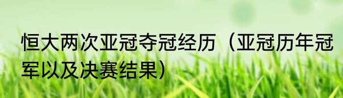 恒大两次亚冠夺冠经历（亚冠历年冠军以及决赛结果）