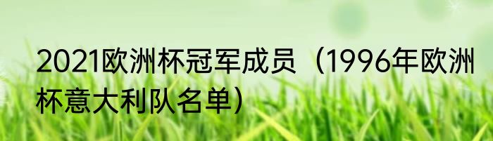 2021欧洲杯冠军成员（1996年欧洲杯意大利队名单）
