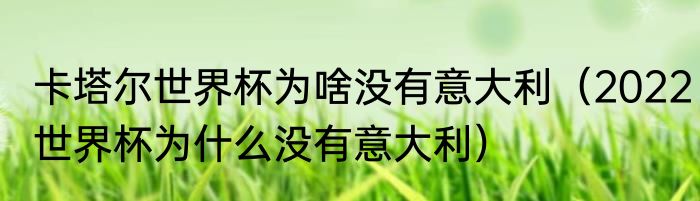 卡塔尔世界杯为啥没有意大利（2022世界杯为什么没有意大利）