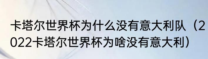 卡塔尔世界杯为什么没有意大利队（2022卡塔尔世界杯为啥没有意大利）