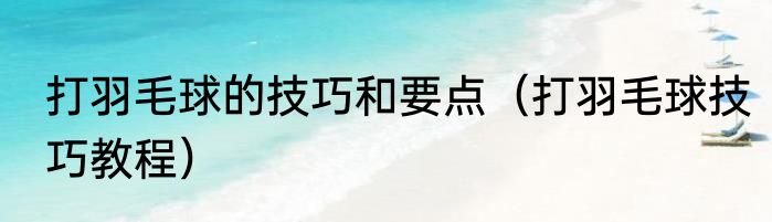 打羽毛球的技巧和要点（打羽毛球技巧教程）