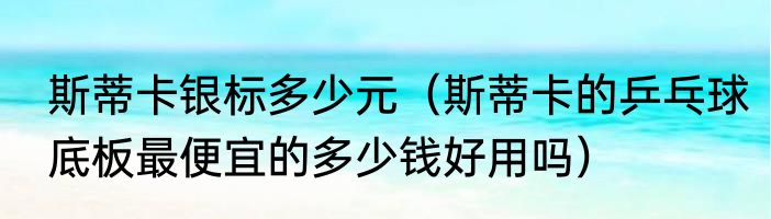 斯蒂卡银标多少元（斯蒂卡的乒乓球底板最便宜的多少钱好用吗）