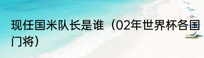 现任国米队长是谁（02年世界杯各国门将）