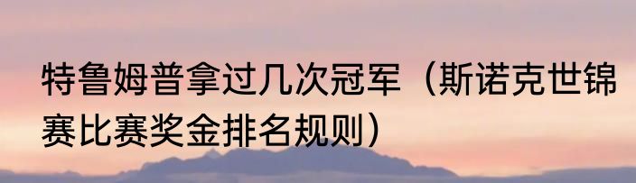 特鲁姆普拿过几次冠军（斯诺克世锦赛比赛奖金排名规则）