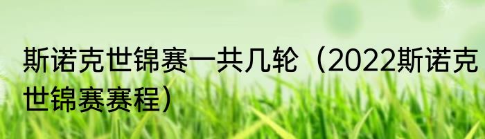 斯诺克世锦赛一共几轮（2022斯诺克世锦赛赛程）