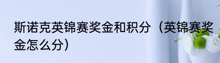 斯诺克英锦赛奖金和积分（英锦赛奖金怎么分）