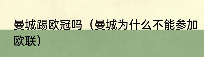 曼城踢欧冠吗（曼城为什么不能参加欧联）