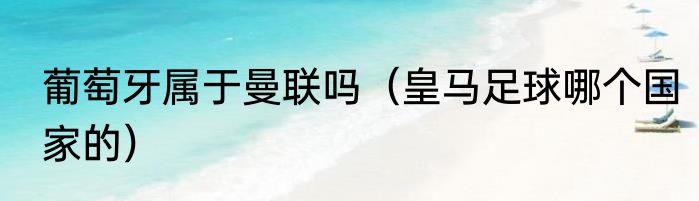 葡萄牙属于曼联吗（皇马足球哪个国家的）