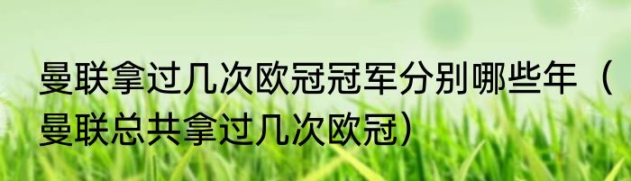 曼联拿过几次欧冠冠军分别哪些年（曼联总共拿过几次欧冠）