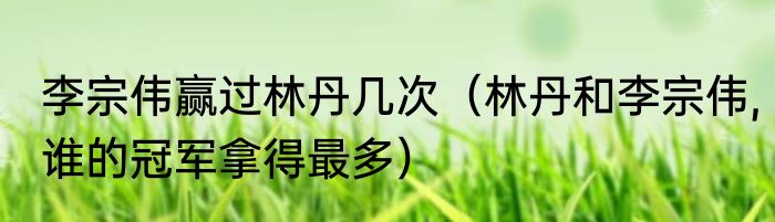 李宗伟赢过林丹几次（林丹和李宗伟,谁的冠军拿得最多）