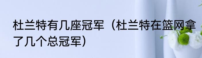 杜兰特有几座冠军（杜兰特在篮网拿了几个总冠军）