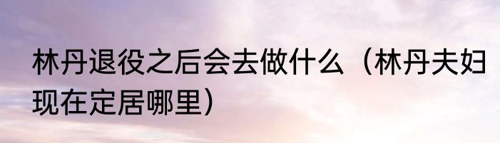 林丹退役之后会去做什么（林丹夫妇现在定居哪里）