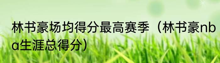 林书豪场均得分最高赛季（林书豪nba生涯总得分）