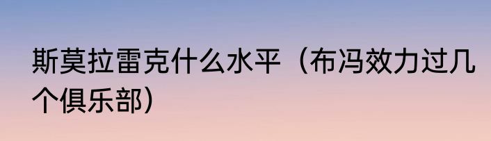 斯莫拉雷克什么水平（布冯效力过几个俱乐部）