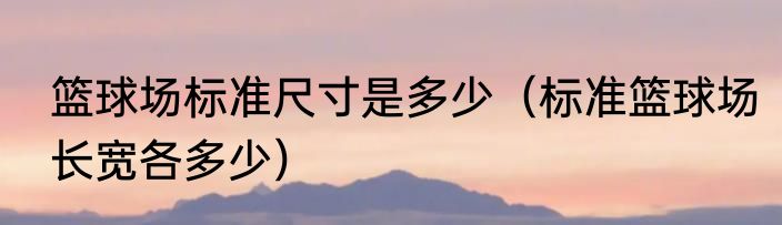篮球场标准尺寸是多少（标准篮球场长宽各多少）