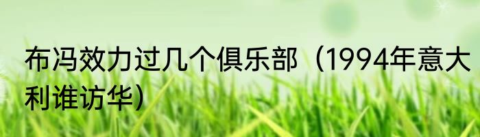 布冯效力过几个俱乐部（1994年意大利谁访华）