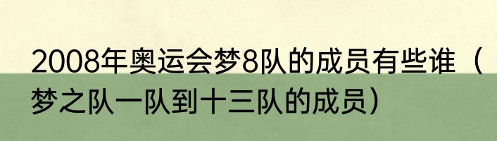 2008年奥运会梦8队的成员有些谁（梦之队一队到十三队的成员）