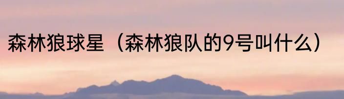 森林狼球星(森林狼队的9号叫什么)