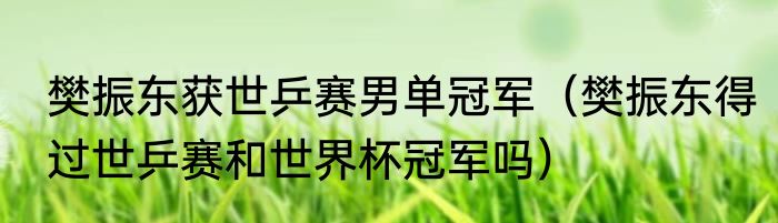 樊振东获世乒赛男单冠军（樊振东得过世乒赛和世界杯冠军吗）